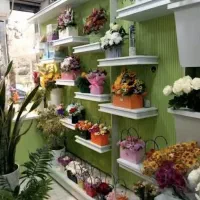 فروشنده خانم