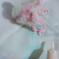 جوجه عروس سرلاکی