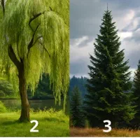 سیم کارت ۰۹۱۲۱۰۴۰۹۱۵ فروشی