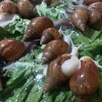 استفاده برای محصولات آرایشی و درمانی