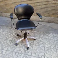 صدفی