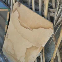 قفس|لوازم جانبی حیوانات|کرمان, |دیوار