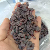 کشمش ۹۰ درصد بی هسته شیراز