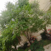 فروش-منزل-ویلایی
