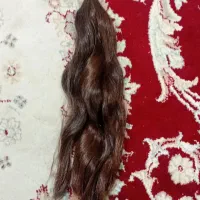 فروش مو دختر