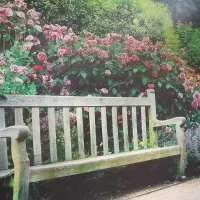 نصاب کاغذ دیواری، قرنیز ، فروش(سطح شهر)