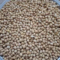 نخود آبگوشتی زود پز