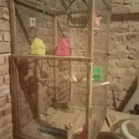 قفس چوبی با 8تا فنچ و وسایل