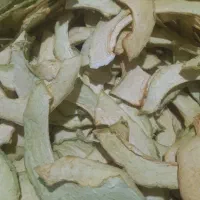 کارگاه میوه خشک
