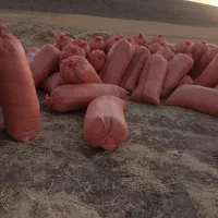 کاه گندم دیم کاه کوب درجه یک