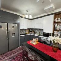 یخچال دوقلو دیپوینت