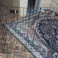 فروش یک عداد داگ پارک اصل خارجی نو
