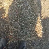 یونجه و پرس