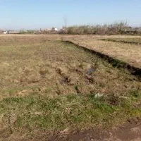 زمین کشاورزی