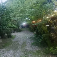 نیاز به کارگر خانم برای کار منزل