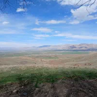 جویای کار