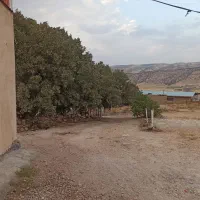 باغ اجاره‌ای
