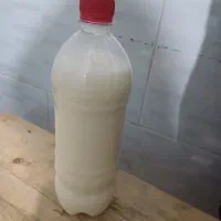 دوغ محلی ترش