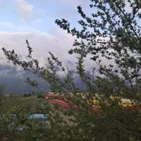 نگهبان  و حراست