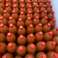 آبغوره عسکری کاشمر