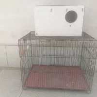 قفس بزرگ