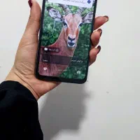 فروش فوری پوکو c65