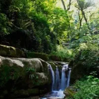 تورویژه بانوان