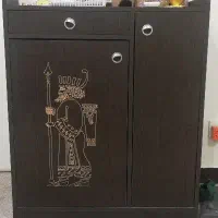 جاکفشی سالم
