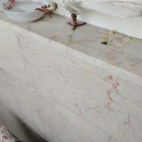 کبوتر پیدا شده