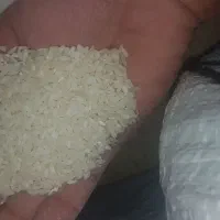 برنج چمپا(بلواس)