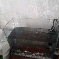 آکواریوم