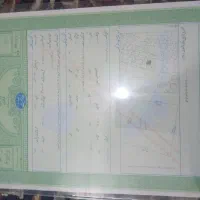 زمین-سندار-دشتی