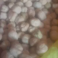 نخود سفید کرمانشاه