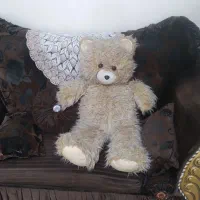 خرس پولیشی بزرگ  درحدنو