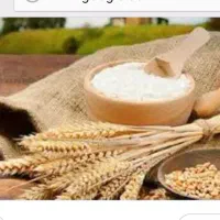 گندم..رقم روشن