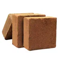 کوکوپیت
