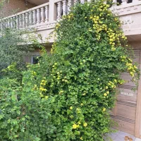 منزل-ویلایی-همکف-ودربست