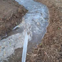 باغ