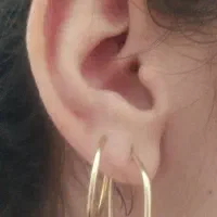 گل ربانی