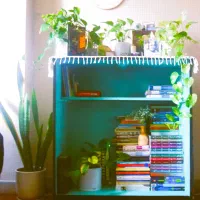 باکس کتاب گنجه‌ی کتاب چوبی فروش فوری