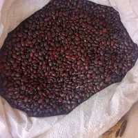 لوبیا قرمز