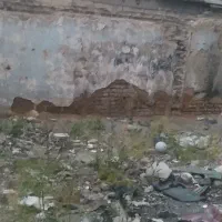 زمین-کلنگی