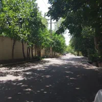 هزارمتری دارای گل وگیاه