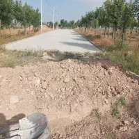 کار جدول کشی پازل سنگ فرش کارگر