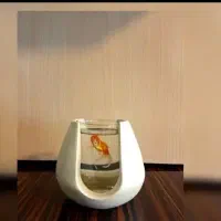 شیشه تنگ، شیشه ماهی