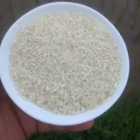نیمدانه هاشمی بشرط پخت