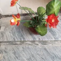 یک عدد گل تزیینی با گلدان سالم