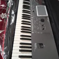 pa3xle|گیتار، بیس، امپلیفایر|شیراز, چوگیاه‎|دیوار