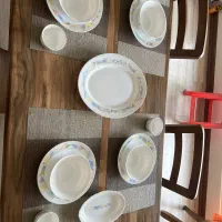آرکوپال اصل فرانسه مدل فلو
