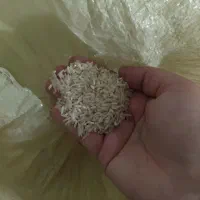 برنج فجر ایرانی